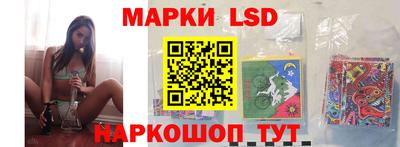 PSILOCYBIN Камышлов