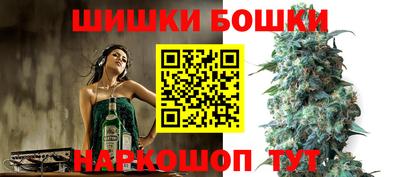 PSILOCYBIN Камышлов
