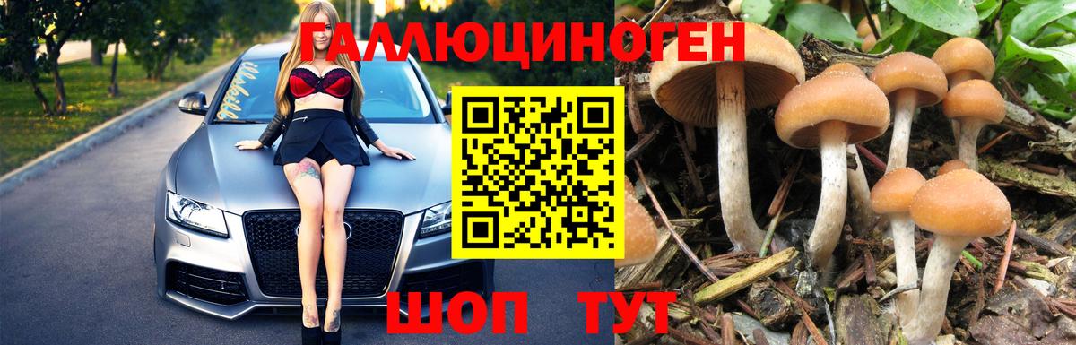 Псилоцибиновые грибы Cubensis  Псилоцибиновые грибы ЛСД  Королёв  Вход с VPN 